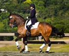 2010052120100521_krank_gp_sr_14127